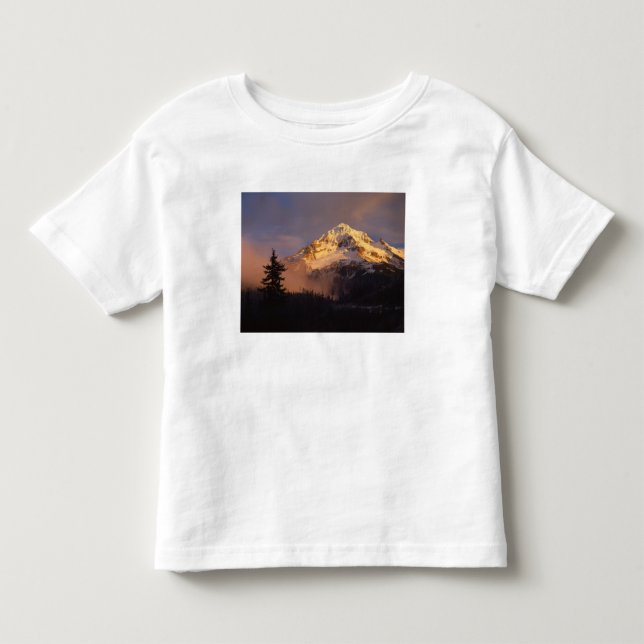 USA, Oregon, Mt. Hood National Forest. Rullande Tee (Framsida)
