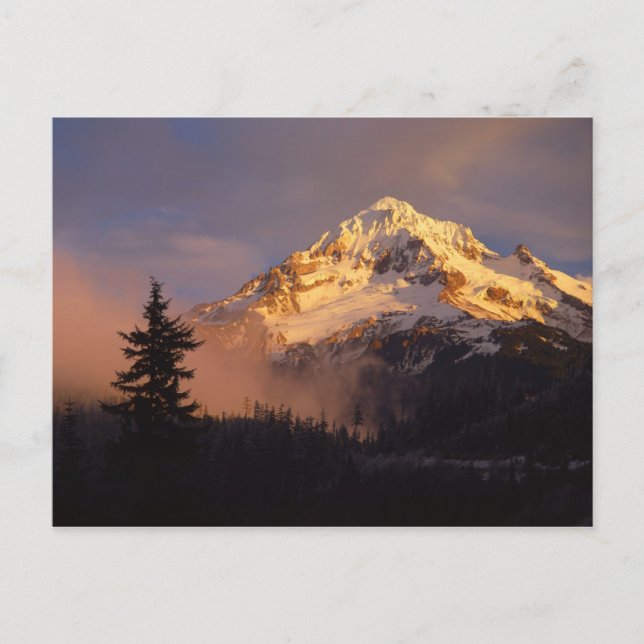 USA, Oregon, Mt. Hood National Forest. Rullande Vykort (Framsida)