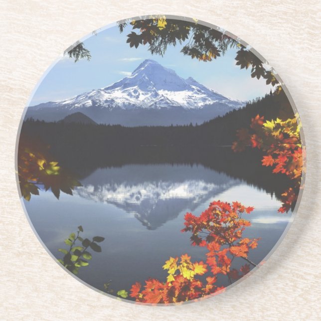 USA, Oregon, Mt. Hood nationalskog. Underlägg (Framsidan)