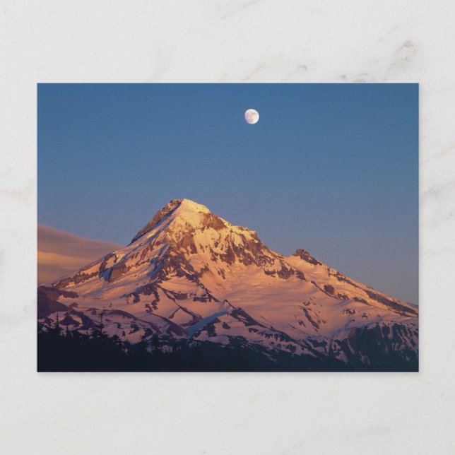 USA, Oregon, Mt Hood. Solnedgång skapar alpenglow Vykort (Framsida)