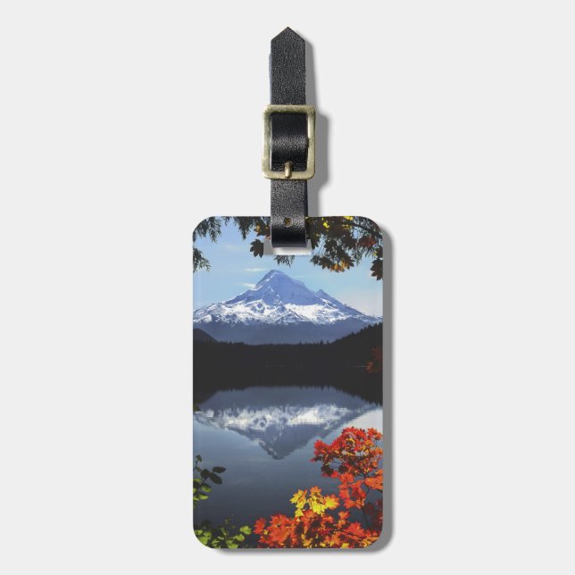 USA, Oregon, Mt. Huva National Forest. Bagagebricka (Vertikal Framsida)