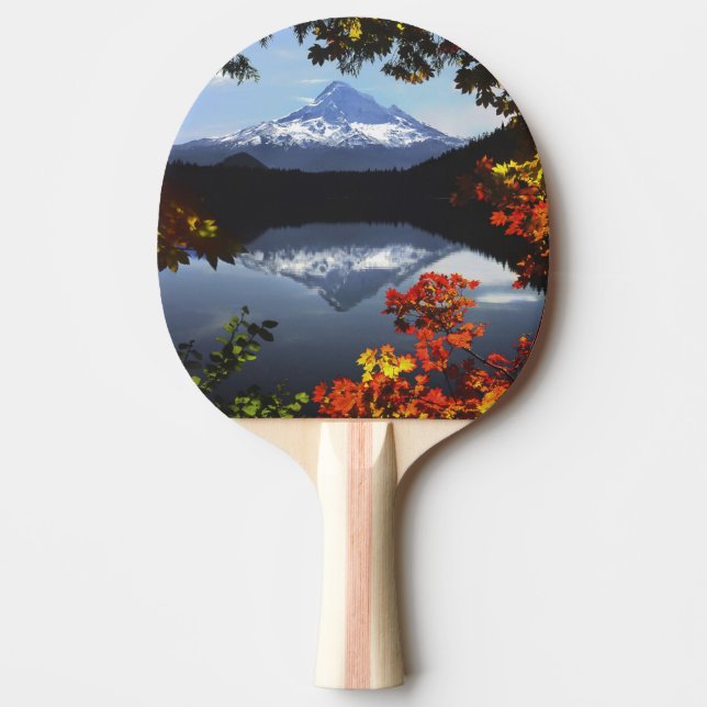USA, Oregon, Mt. Huva National Forest. Pingisracket (Framsidan)