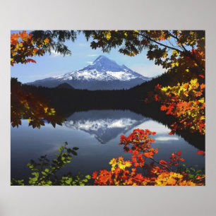 USA, Oregon, Mt. Huva National Forest. Poster