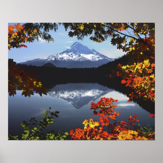 USA, Oregon, Mt. Huva National Forest. Poster (Framsidan)