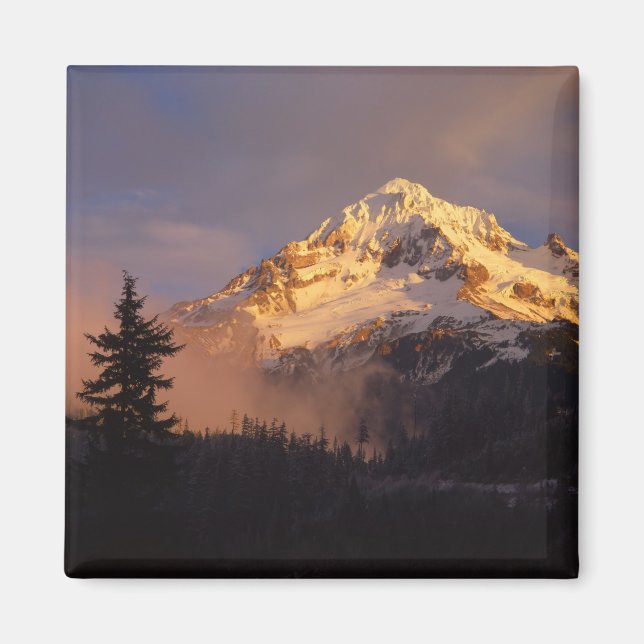 USA, Oregon, Mt. Huva National Forest. Rullande Magnet (Framsidan)