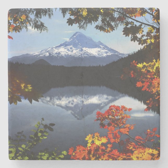 USA, Oregon, Mt. Huva National Forest. Stenunderlägg (Framsidan)