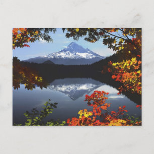 USA, Oregon, Mt. Huva National Forest. Vykort