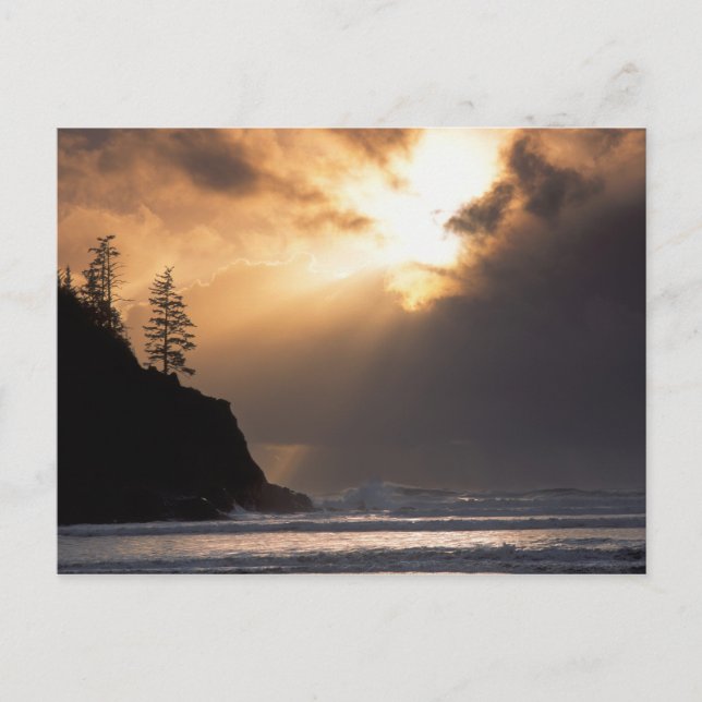 USA, Oregon, nära Oswald Väster State Park, Late Vykort (Framsida)