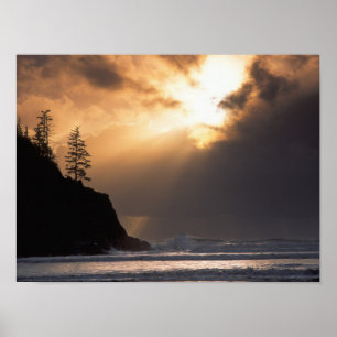 USA, Oregon, nära Oswald West State Park, Sent Poster