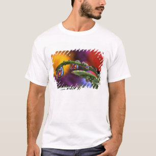USA, Oregon, Närbild abstrakt lila T Shirt