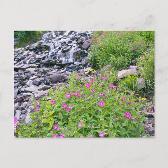 USA, Oregon, nationalparken Crater Sjö Vykort (Framsida)