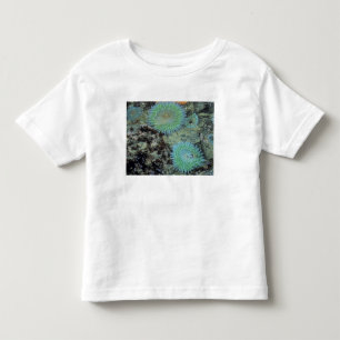 USA, Oregon, Nepture SP. Havsytande havsanemon T Shirt