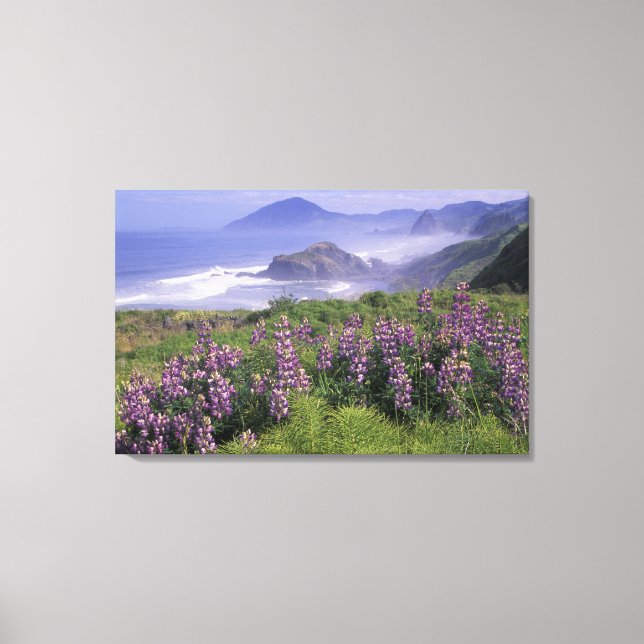 USA, Oregon, Nesika Beach. Lupine och Oregon Canvastryck (Framsida)