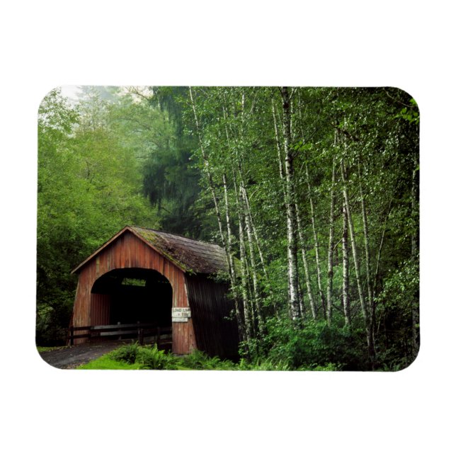 USA, Oregon. Överbyggd bro över North Fork Magnet (Horisontell)