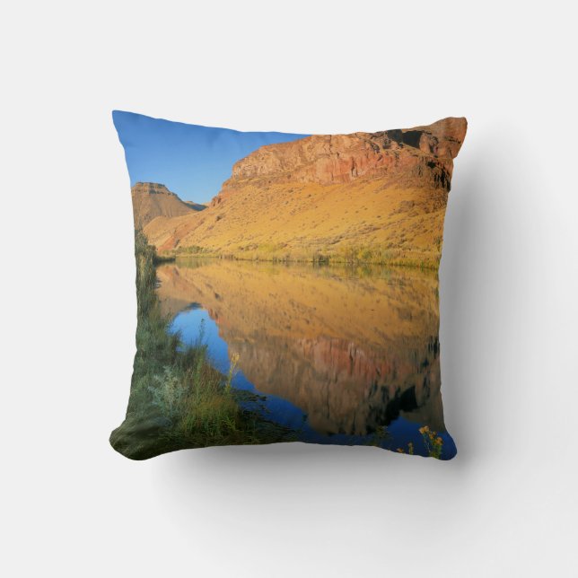 USA, Oregon, Owyhee River Canyon Kudde (Framsida)