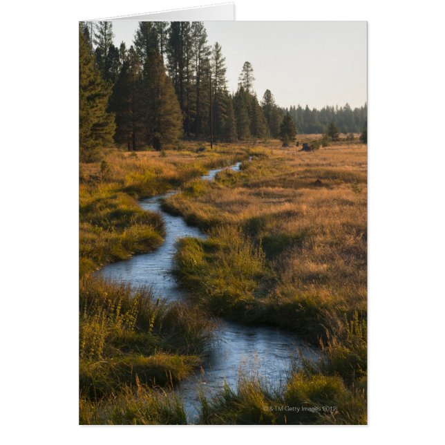 USA, Oregon, Paulina Bäck Hälsningskort (Framsidan)