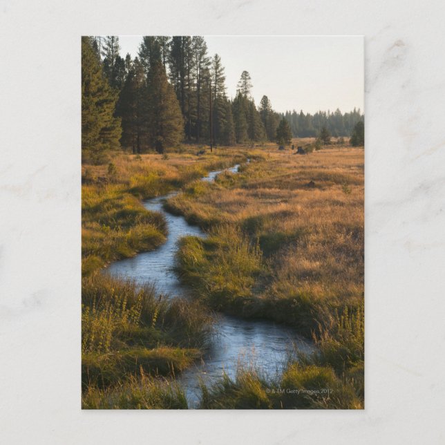 USA Oregon, Paulina bäck Vykort (Framsida)
