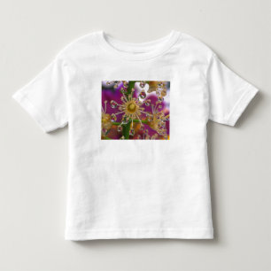USA, Oregon, Portland. Cosmosblommor reflekteras i Tee Shirt