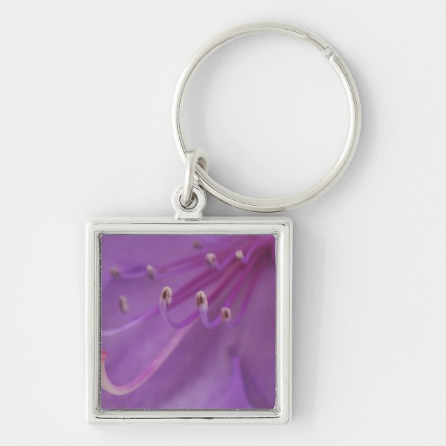 USA, Oregon, Portland. Nära en Fyrkantig Silverfärgad Nyckelring (Framsidan)