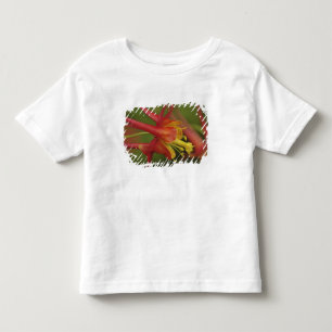 USA, Oregon, Portland. Närbild på akleja Tee Shirt