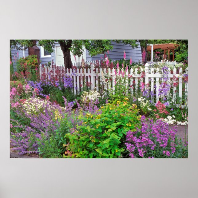 USA, Oregon, Portland. Springtime-explosion Poster (Framsidan)