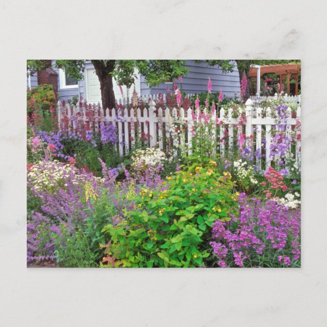 USA, Oregon, Portland. Springtime-explosion Vykort (Framsida)