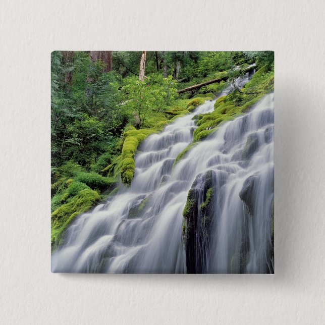 USA, Oregon, Proxy Falls. Proxy Falls forsar Knapp (Framsida)