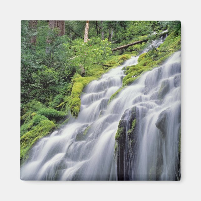 USA, Oregon, Proxy Falls. Proxy Falls forsar Magnet (Framsidan)