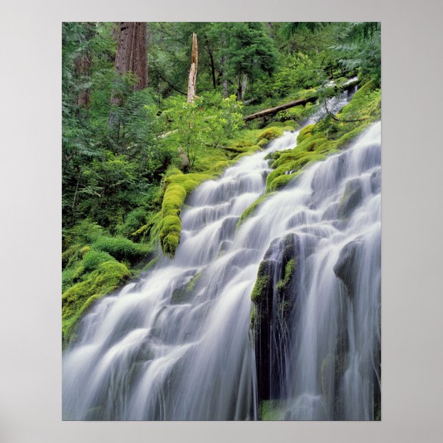 USA, Oregon, Proxy Falls. Proxy Falls forsar Poster (Framsidan)