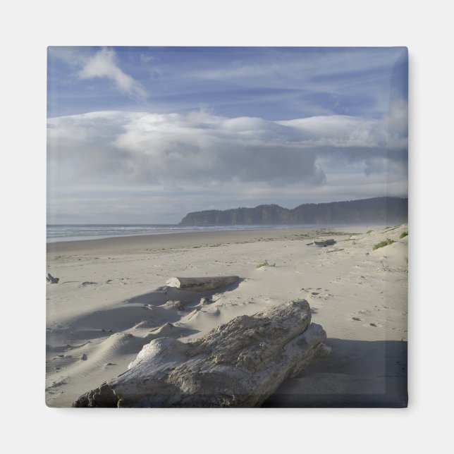 USA, Oregon, Sand Dunes och Ocean, Stillahavsområd Magnet (Framsidan)