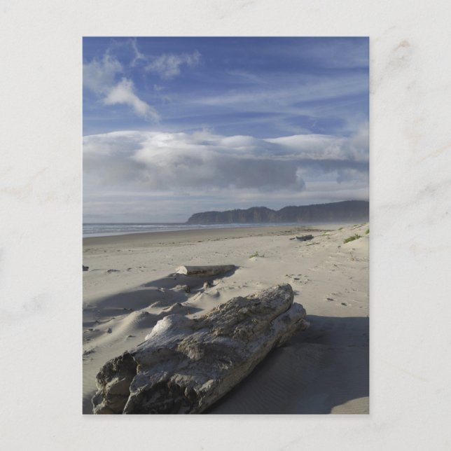 USA, Oregon, Sand Dunes och Ocean, Stillahavsområd Vykort (Framsida)