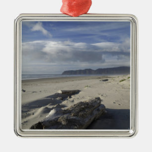 USA, Oregon, Sanddyner och hav, Pacific City Julgransprydnad Metall