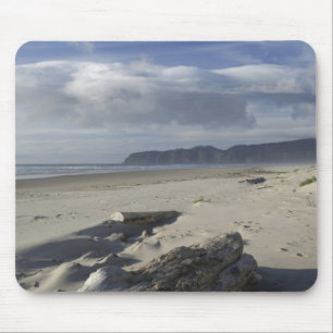 USA, Oregon, Sanddyner och hav, Pacific City Musmatta
