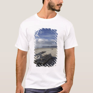 USA, Oregon, sanddyner och hav, Pacific City Tee