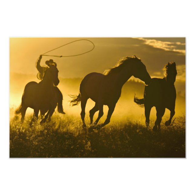 USA, Oregon, Seneca, Ponderosa Ranch. Fototryck (Framsidan)