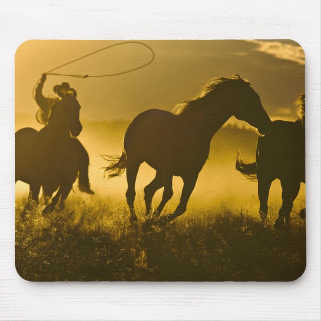 USA, Oregon, Seneca, Ponderosa Ranch. Musmatta (Framsidan)