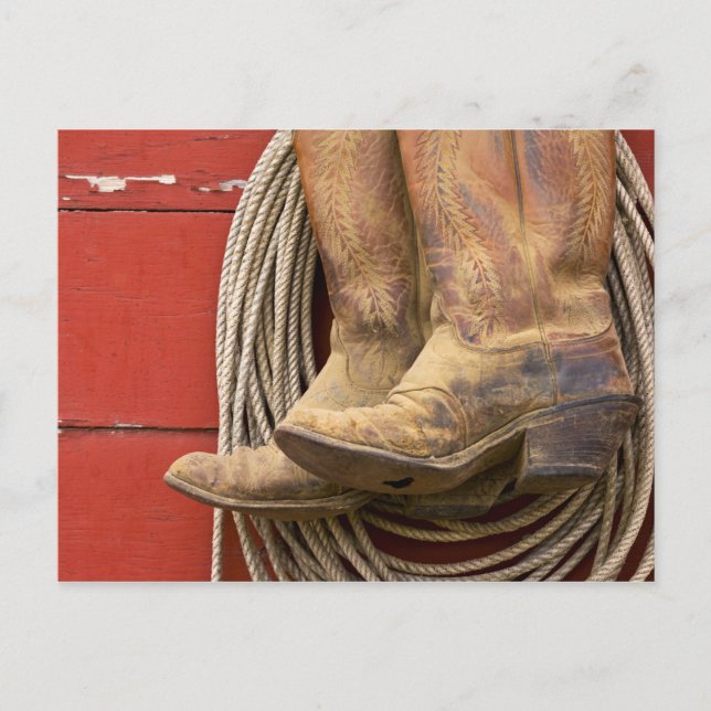 USA, Oregon, Seneca, Ponderosa Ranch. Närbild Vykort (Framsida)