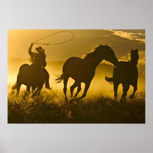 USA, Oregon, Seneca, Ponderosa Ranch. Poster (Framsidan)