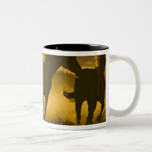 USA, Oregon, Seneca, Ponderosa Ranch. Två-Tonad Mugg
