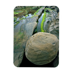 USA, Oregon, Shore Acres delstatliga park Magnet