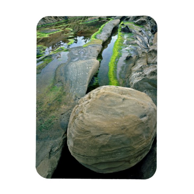 USA, Oregon, Shore Acres delstatliga park Magnet (Vertikal)