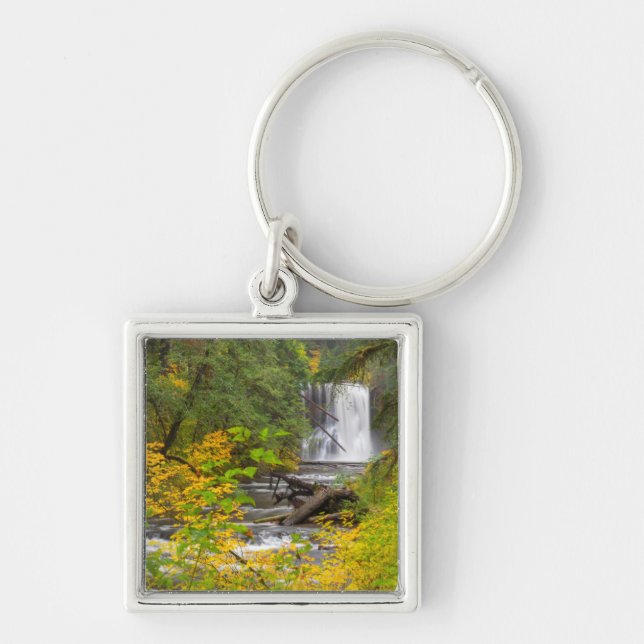 USA, Oregon, Silver Falls State Park 2 Fyrkantig Silverfärgad Nyckelring (Framsidan)