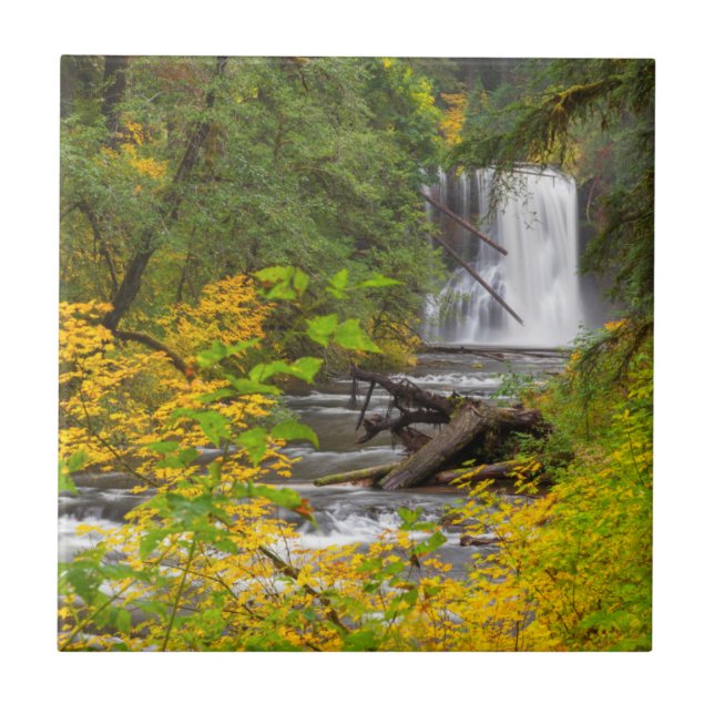 USA, Oregon, Silver Falls State Park 2 Kakelplatta (Framsidan)