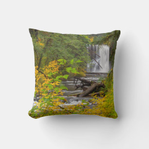 USA, Oregon, Silver Falls State Park 2 Kudde