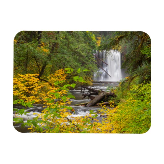 USA, Oregon, Silver Falls State Park 2 Magnet (Horisontell)