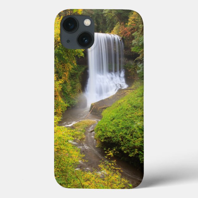 USA, Oregon, Silver Falls State Park 3 (Baksida)
