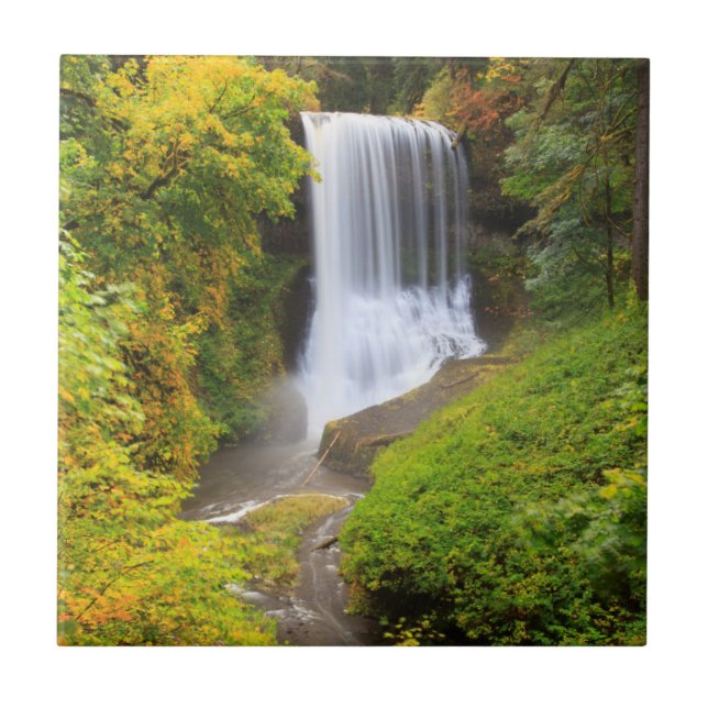 USA, Oregon, Silver Falls State Park 3 Kakelplatta (Framsidan)