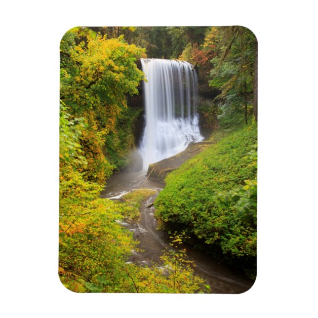 USA, Oregon, Silver Falls State Park 3 Magnet (Vertikal)