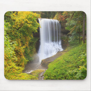USA, Oregon, Silver Falls State Park 3 Musmatta
