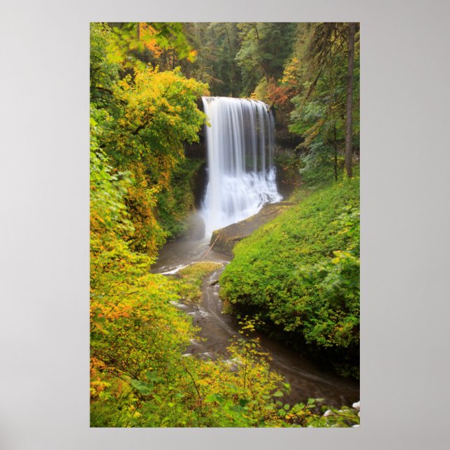 USA, Oregon, Silver Falls State Park 3 Poster (Framsidan)